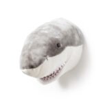 Head Large Shark, Jack - Image 2