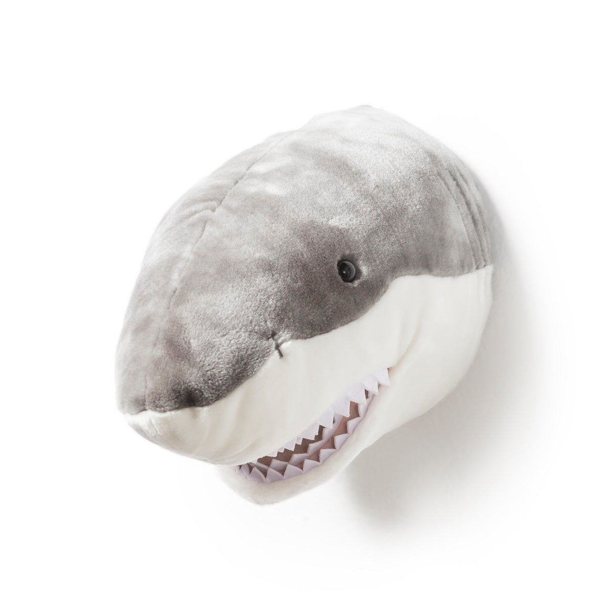 49B597BA-675E-4731-A8ED-B1A3340E9D5F Head Large Shark, Jack - Image 2