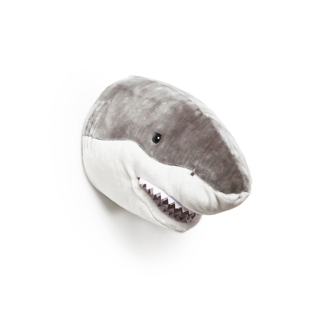 CA34B733-0BFE-497D-BD16-D38260A8BB70 Head Large Shark, Jack - Image 1