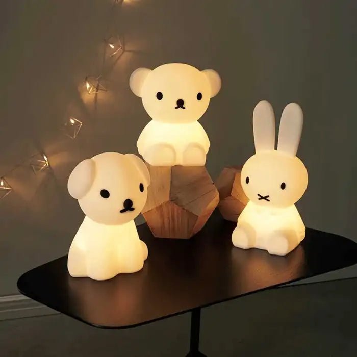 IMG-2378 Mr Maria MiffyLights Little - Image 3