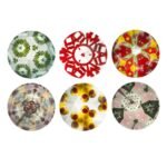 Kaleidoscope-Brown Bear - Image 3