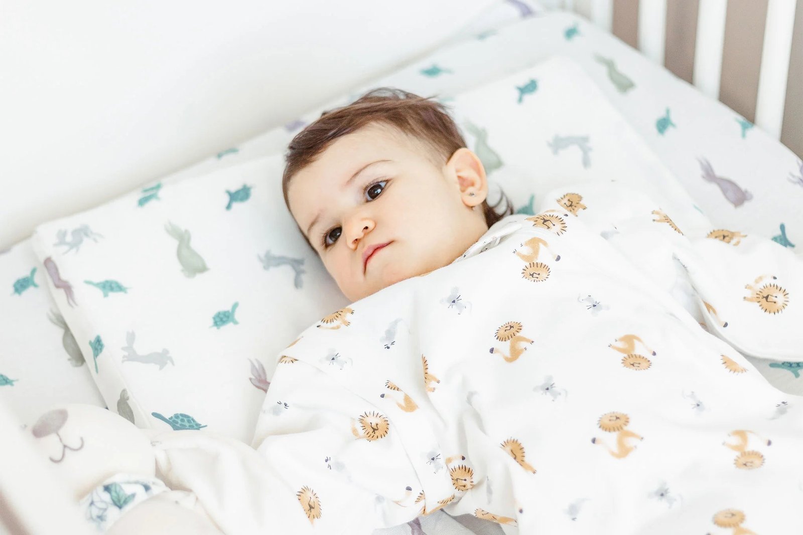 ND23S511U17TH_L13_01e5ea5b-d199-4a9a-b6a7-728824e414c0 Bamboo Toddler Pillow with Pillowcase (Small) - The Tortoise & The Hare - Image 4