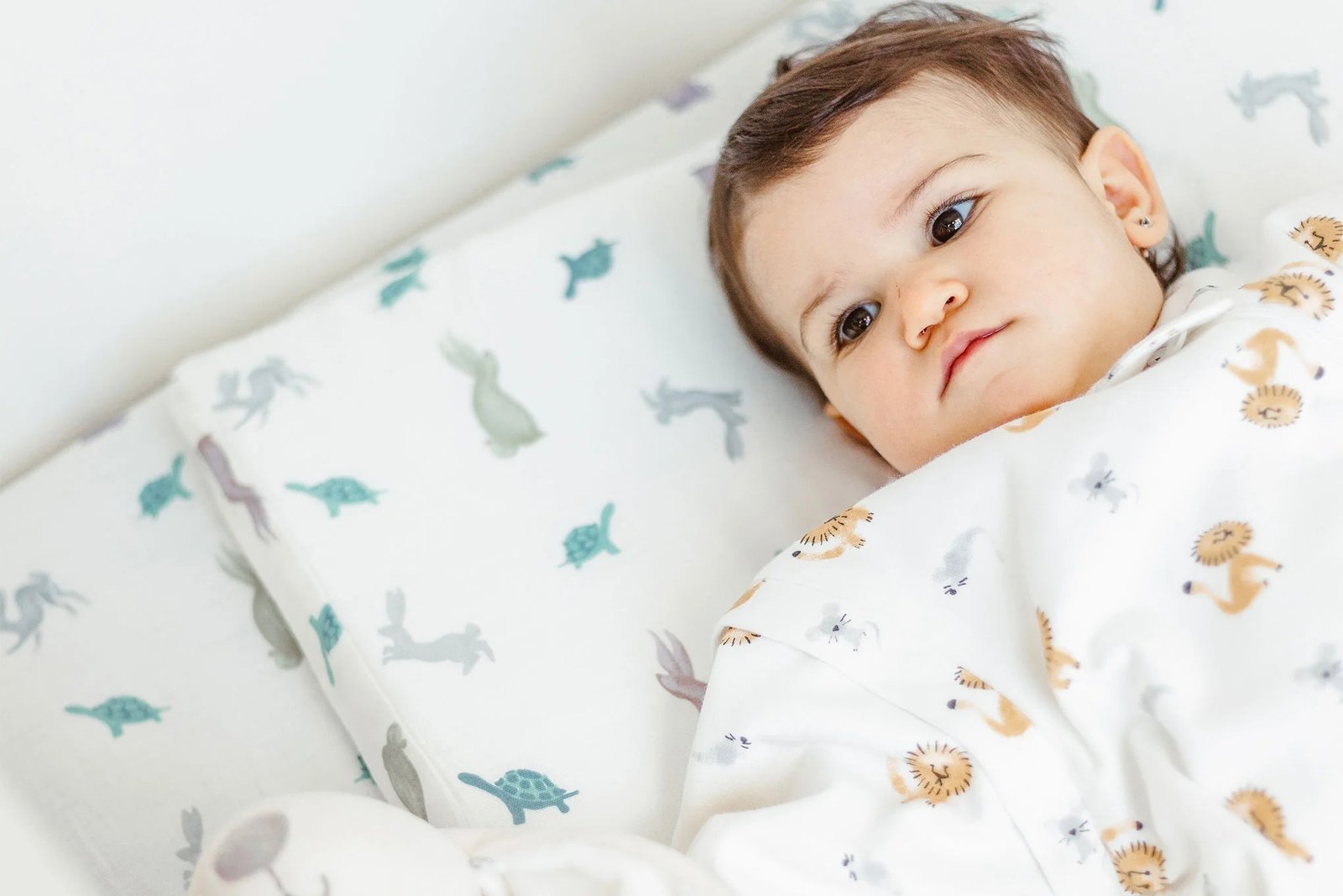 ND23S511U17TH_L1_035f006e-d8e3-4ba7-aa1c-25374ceab125 Bamboo Toddler Pillow with Pillowcase (Small) - The Tortoise & The Hare - Image 2