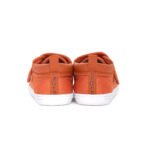 Cruiser Plus- Cinnamon - Image 3