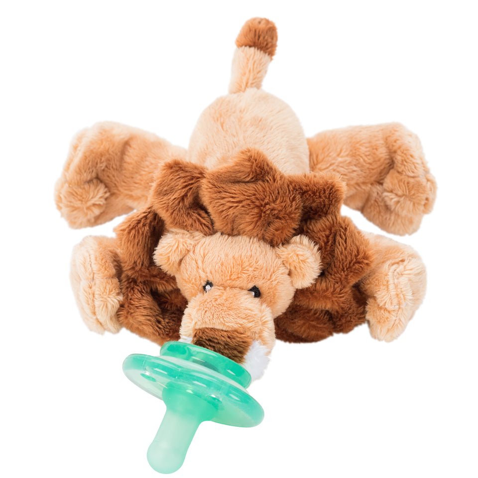 cce984cc5906879f07f6cfd7aa4e4913be16a749c1e7f31391416846febe4a6c Paci-Plushies Buddies – Leo Lion - Image 1